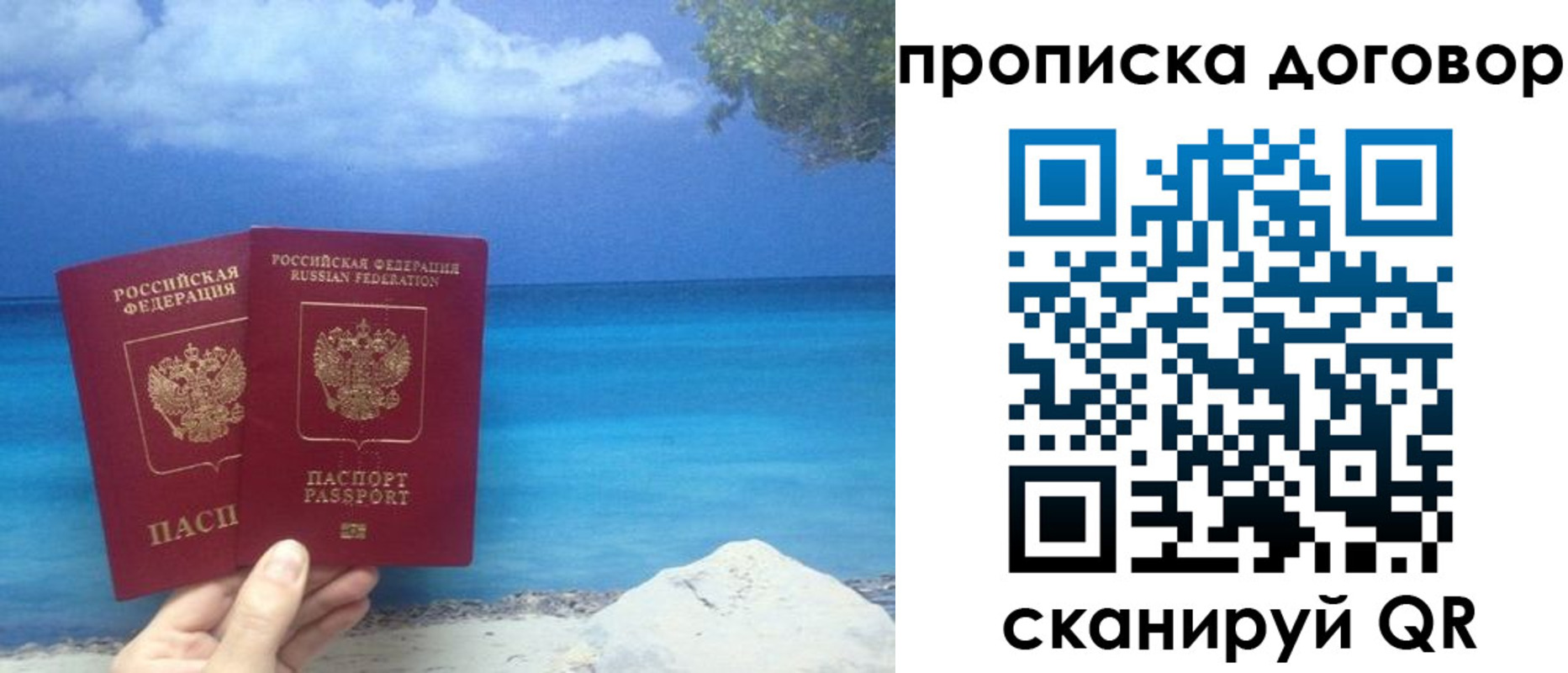 прописка в Зверево